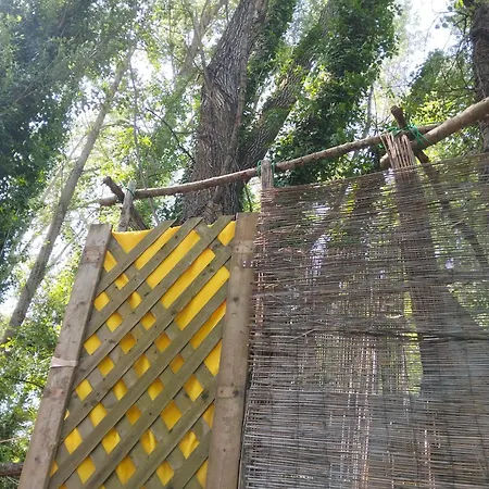 Tente Type Yourth Dans Les Bois *