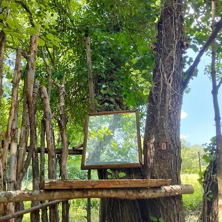 Роскошный шатер Tente Type Yourth Dans Les Bois