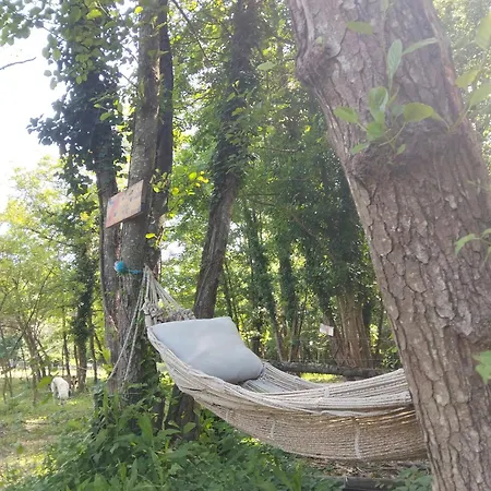 Tente Type Yourth Dans Les Bois Роскошный шатер Saint-Paulet-de-Caisson